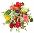 Rose Mix 1