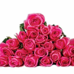 Sweet Cerise